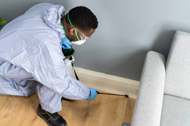 Best Termite Inspection and Treatment  in Woodside, CA